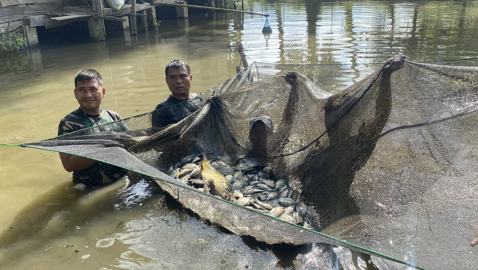 Budidaya ikan di Tapanuli