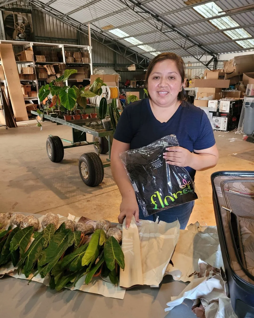 Plant handling / Flona gallery 2022