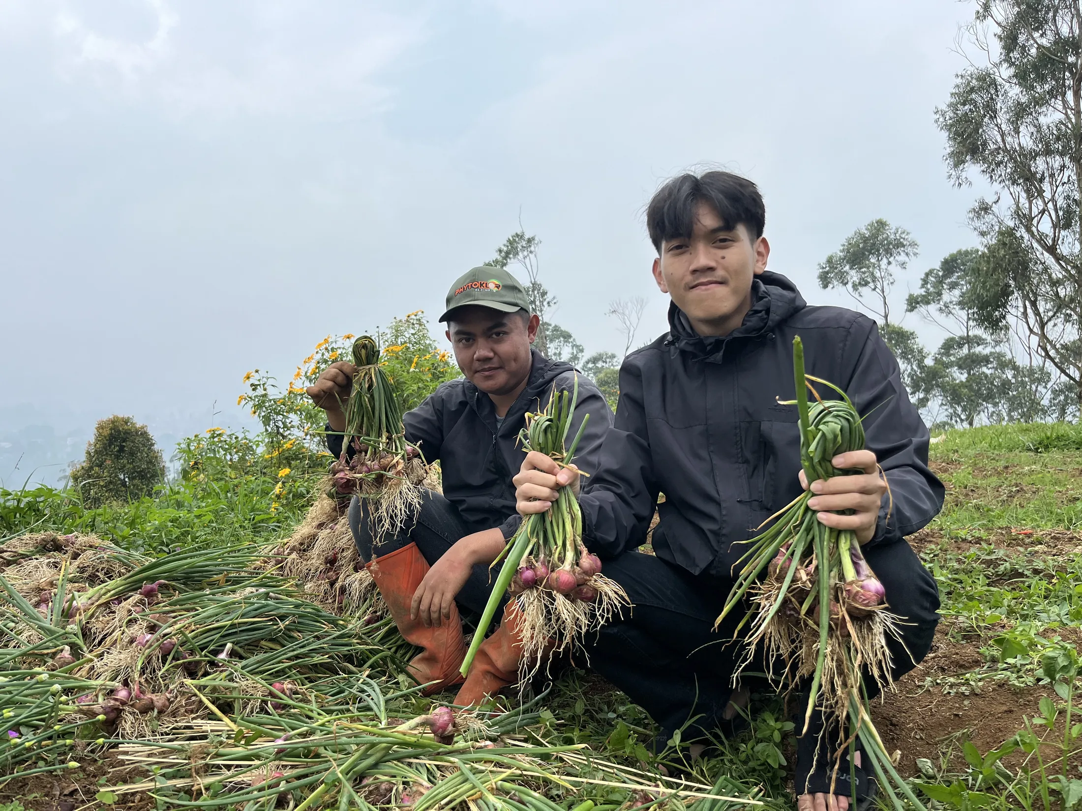 Konteks lapangan lain dari Lembang, Jawa Barat